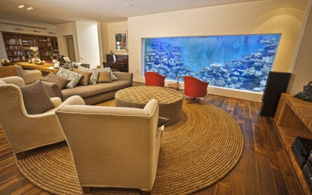 Quel matériel pour alimenter des poissons en aquarium ?